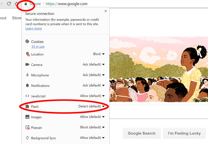 help-chrome-enable-flash.jpg